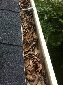 Gutter cleaning 1 before close