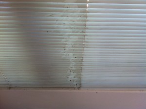 garage aluminum blinds before and after